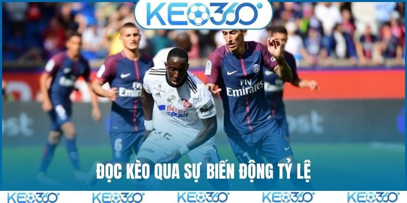 Đọc kèo qua sự biến động tỷ lệ
